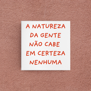 azulejo certeza nenhuma