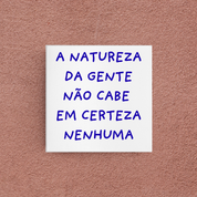 azulejo certeza nenhuma