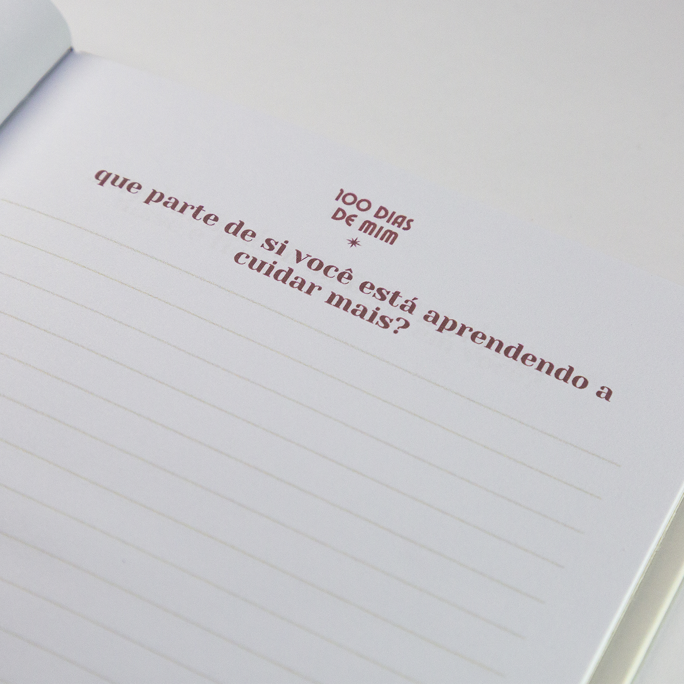 100 dias de mim