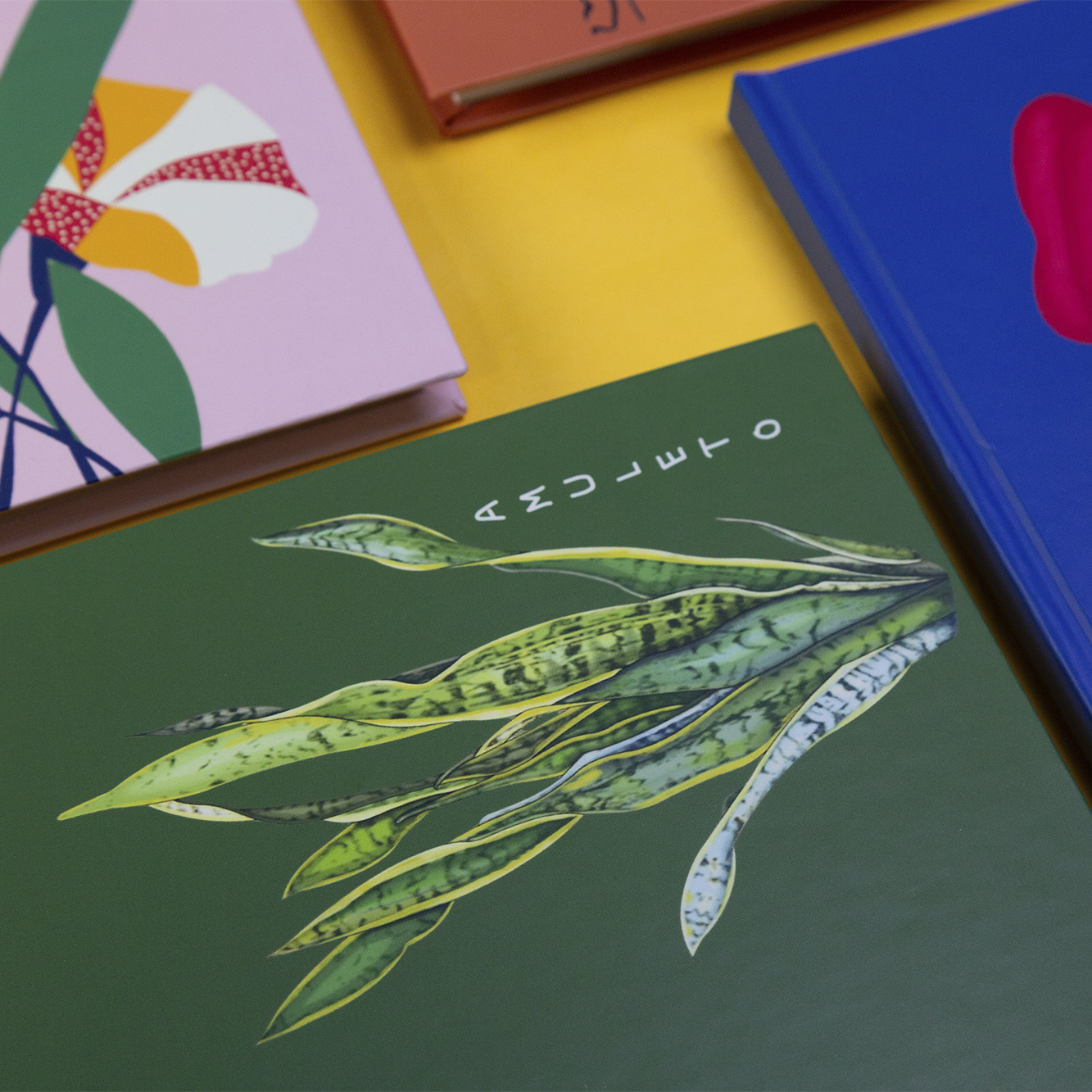 O BRASIL EM CADA DETALHE