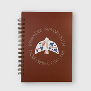 caderno insistir na beleza dos dias comuns