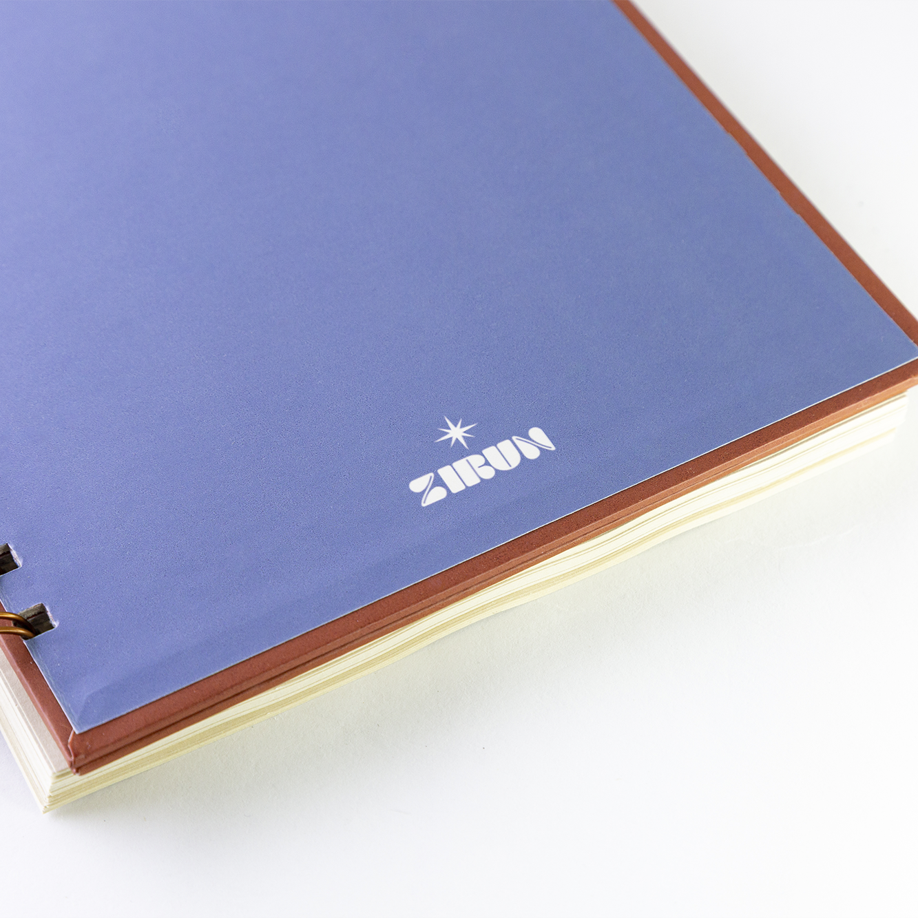 caderno insistir na beleza dos dias comuns