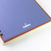 caderno insistir na beleza dos dias comuns