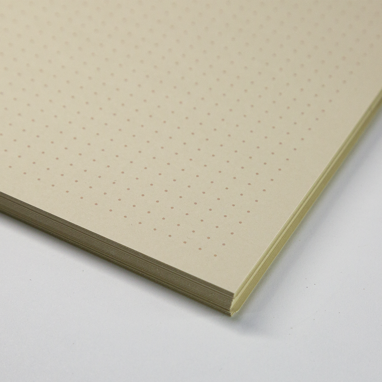 caderno insistir na beleza dos dias comuns