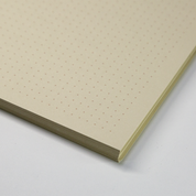 caderno insistir na beleza dos dias comuns