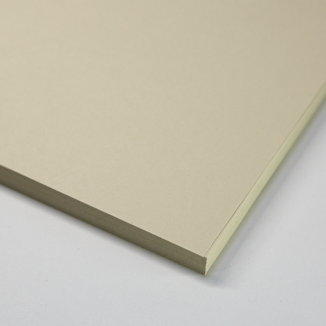 caderno insistir na beleza dos dias comuns